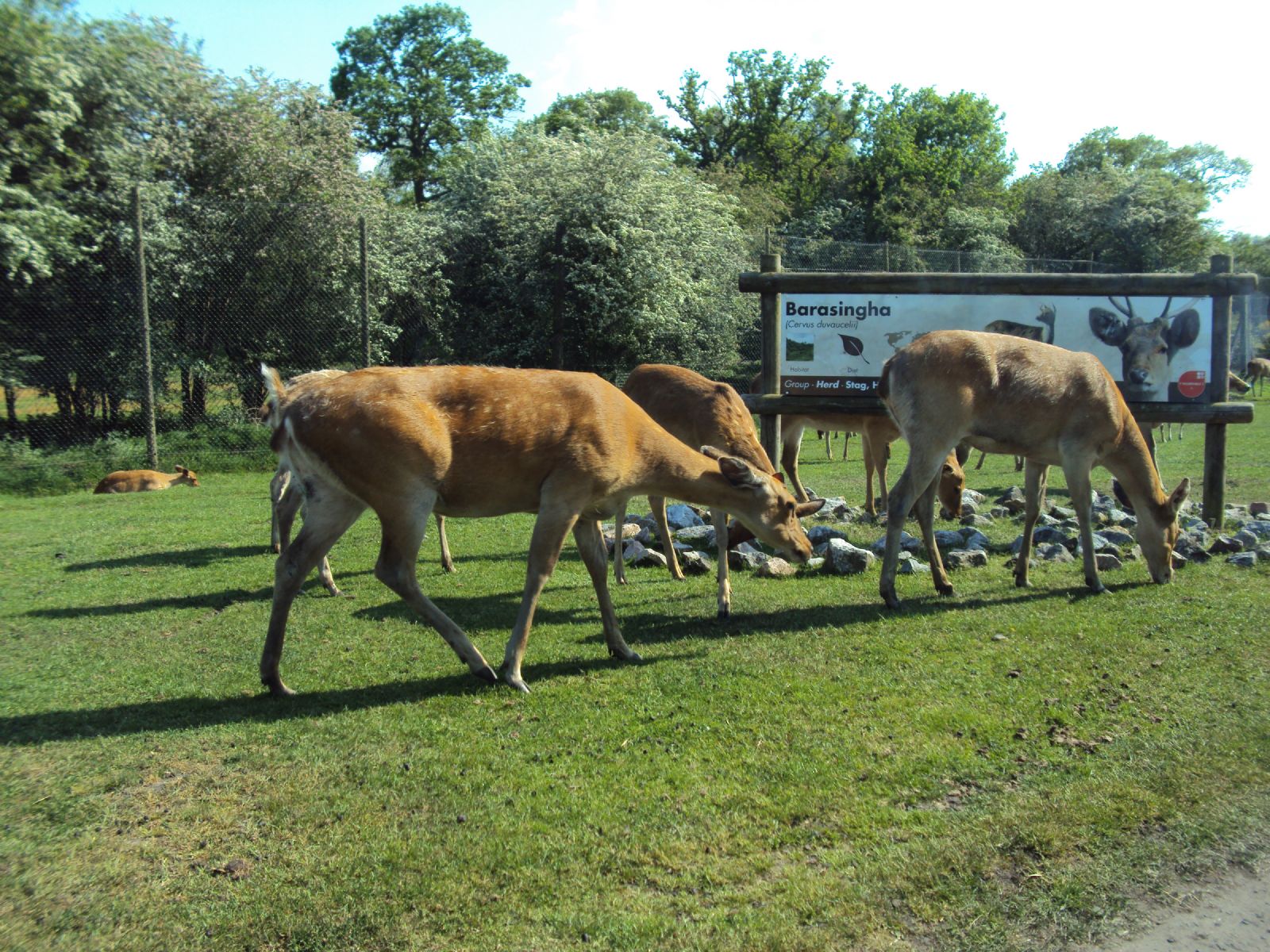 West Midland Safari Park